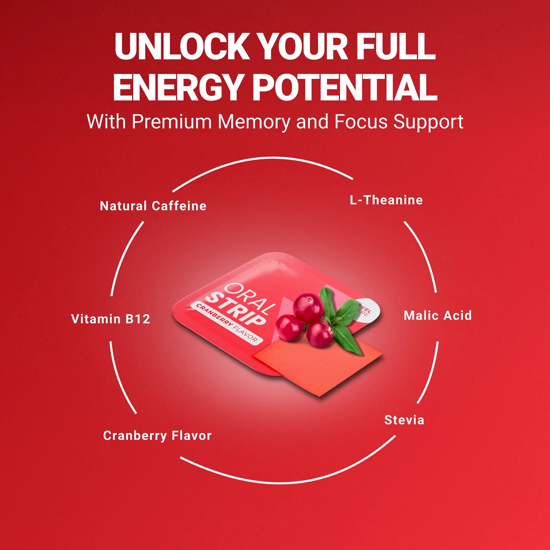 locked in energy premium energy support supplement ingredients product photo